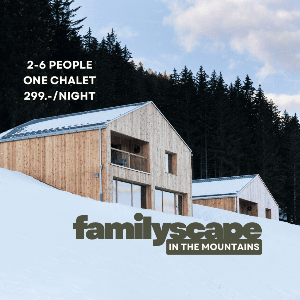 escapade entre amis et en famille a la montagne ou a la neige